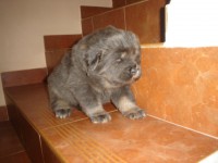 /album/anny/a5-2-mam-3400g-jpg/